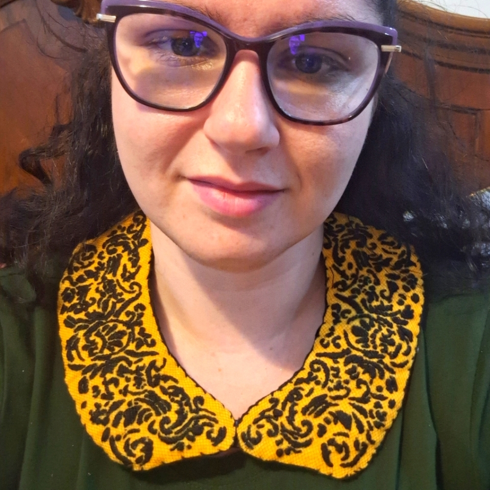 Hand Embroidered DICKY Collar